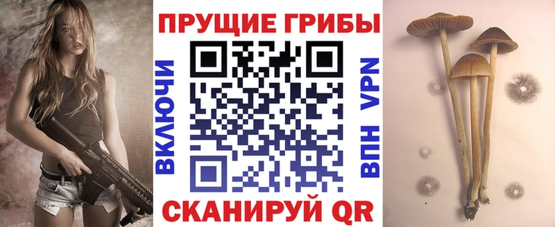 Псилоцибиновые грибы прущие грибы Ржев